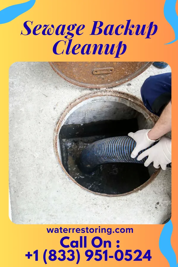 Sewage Backup Cleanup in Fair Bluff, NC