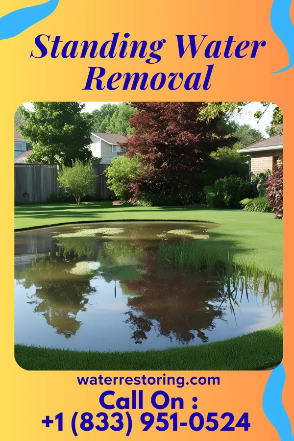 Standing Water Removal in Fair Bluff, NC